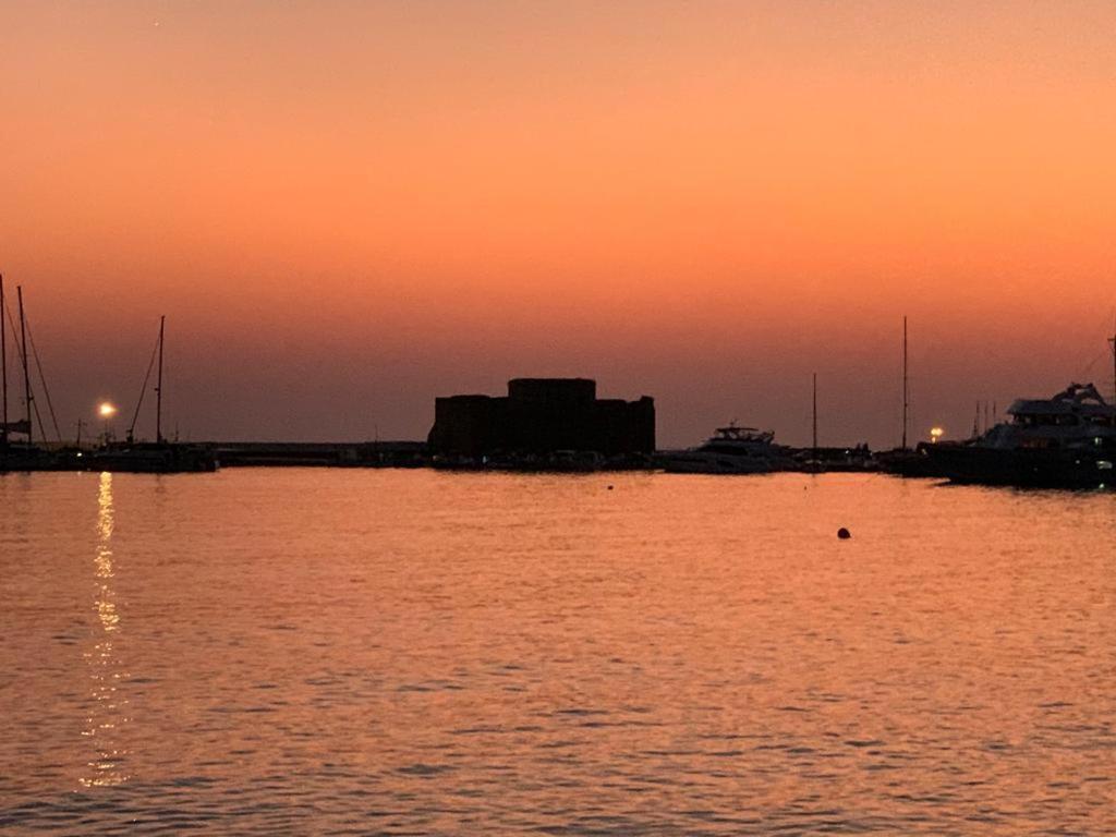 Dionysos Central Paphos Bagian luar foto