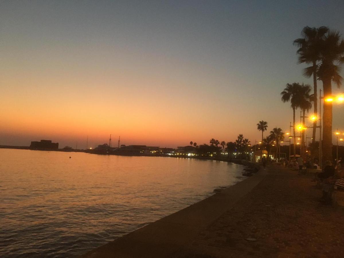 Dionysos Central Paphos Bagian luar foto